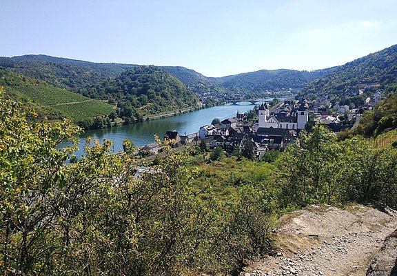 Karden mit St.-Castor-Kirche ('Mosel-Dom')