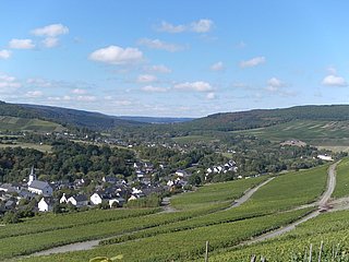 Weinort Maring-Noviand