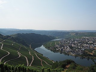 Moselblick bei Piesport