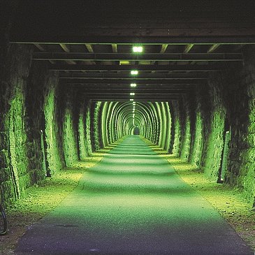 Maare-Mosel-Radweg Daun Großes Schlitzohr