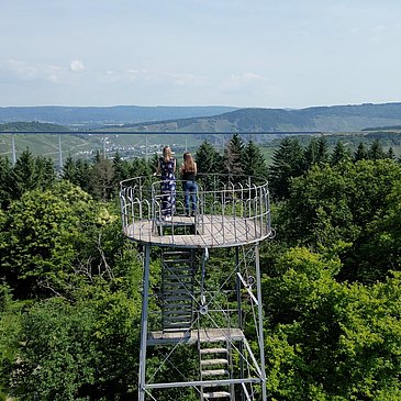 Ausblick vom Grainskopf nach Zeltingen