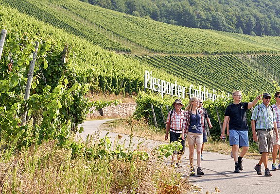 Wandern durch die Lage "Piesporter Goldtröpfchen"