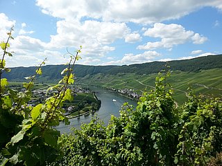Piesport