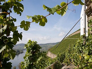 Brauneberger Sonnenuhr: Ziel im Moselurlaub
