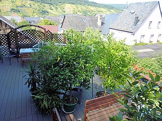 Gästehaus Christa Schneider Terrasse