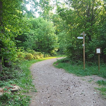 Waldstrecke