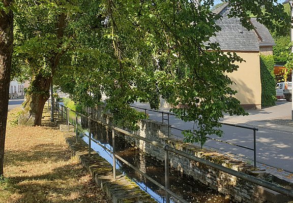 Unterwegs in Burgen
