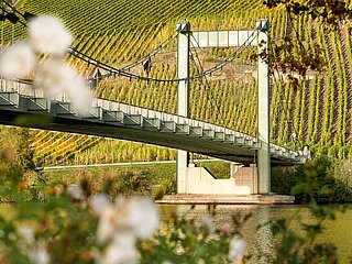 Hängebrücke Wehlen