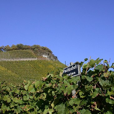 Weingut Paulinshof Kammer