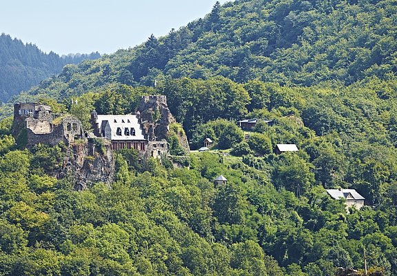 Blick auf Schloss Veldenz