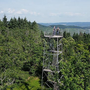 Grainskopf im Wald