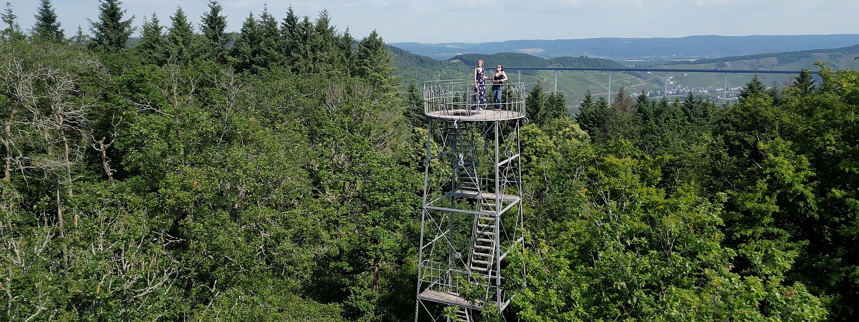 Grainskopf im Wald