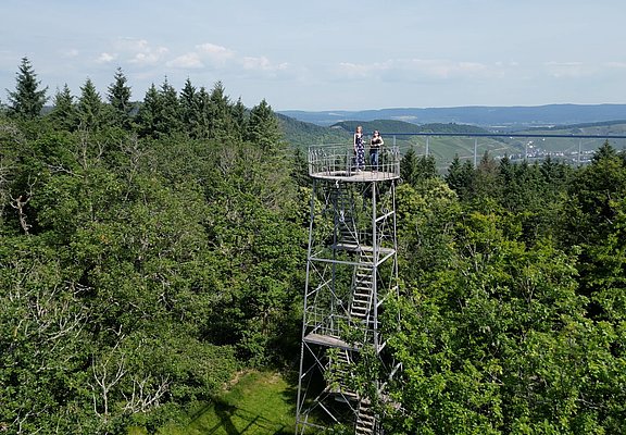 Grainskopf im Wald