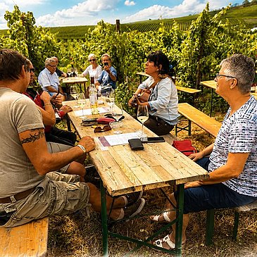 Pop-Up im Weinberg