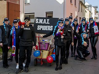 Swat-Teams in Lieser ... Rosenmontag