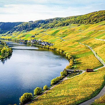 Piesporter Weinberge im Herbst