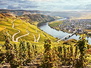 Piesport an der Mosel
