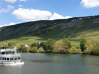 Schiffahrten auf der Mosel