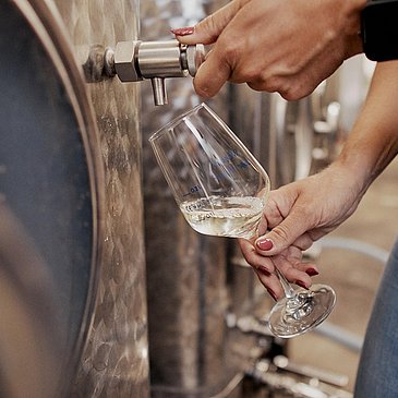 Jungwein-Tasting im Weinkeller